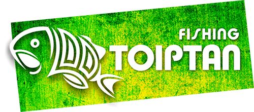 TOIPTAП