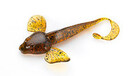      si- 893  Силиконовая приманка JEWEL Bullhead 4"