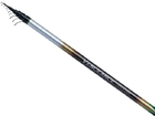 Болонская удочка Shimano Vengeance AX 5-600 GT с кольцам 5.90 м Тест: 4-20 г