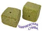 ma-66 Макуха "Ширяевская"  кукурузная слива
