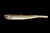 si-132  Силикон съедобный Jackall Superpin-tail 3.0" lake wakasagi 7,5 см. 1 шт.