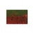 si-103(1) Силикон Reins Kick Ringer 4" B20 tomato craw; - 10,0 cм. - 1 шт. 