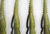 si-96 Силикон Reins Fat Rockvibe Shad 4” B08 green pumpkin chart melon - 1 шт.