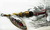ve-10(1)	Вертушка SPINNEX #2